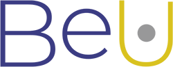 BEU - klient ITLight Software House
